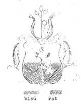wpe1.jpg (4392 Byte)